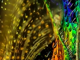 Stilbum cyanurum: Die metallisch glänzenden Farben der Goldwespe entstehet durch Strukturenan der Oberfläche ihres Exoskeletts, an denen das Licht reflektiert wird (Irisiert).